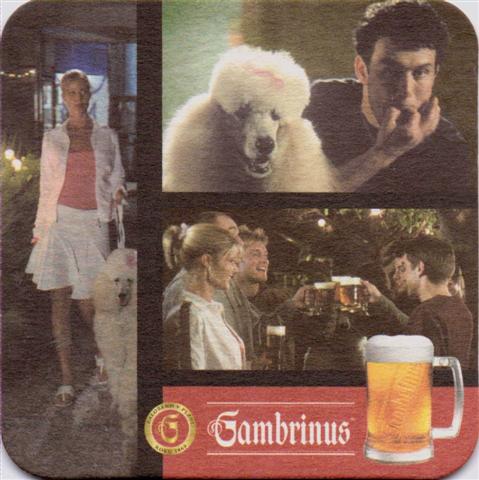 plzen pl-cz gambrinus chut 1a (quad185-o r pudel) 